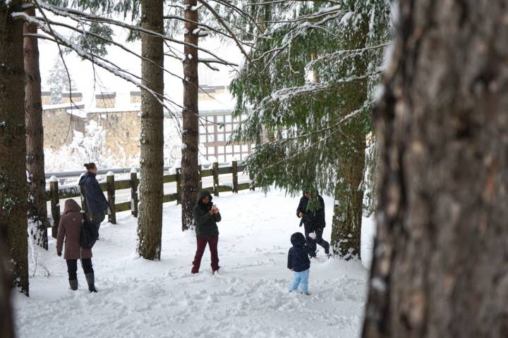 Varias familias juegan con la nieve.