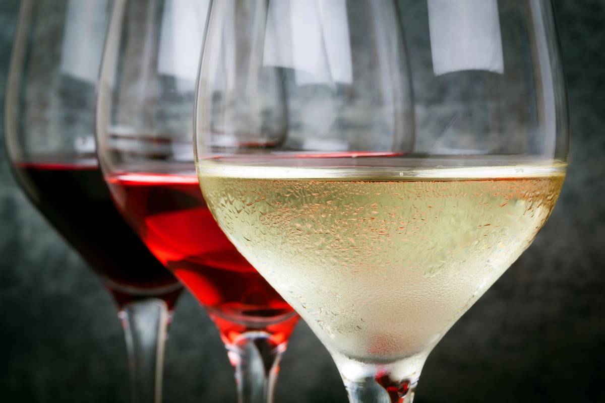 ¿Cómo ser un experto en vinos?