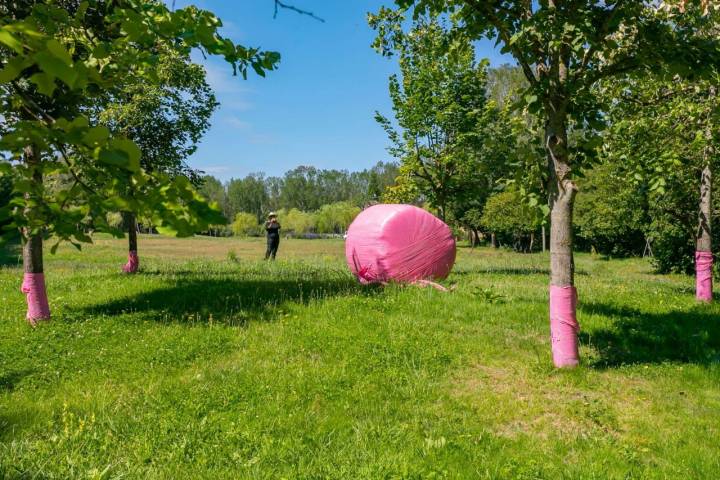 Las balas de hierba de plástico rosa ayudan al cáncer de mama.