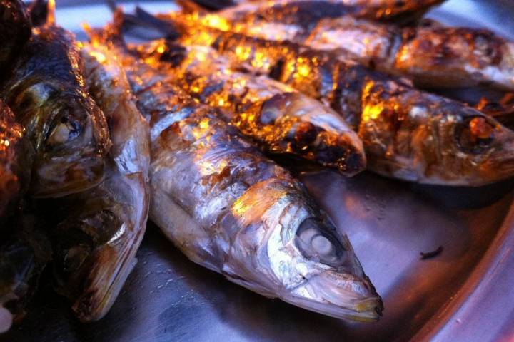 sardinas Alabortza