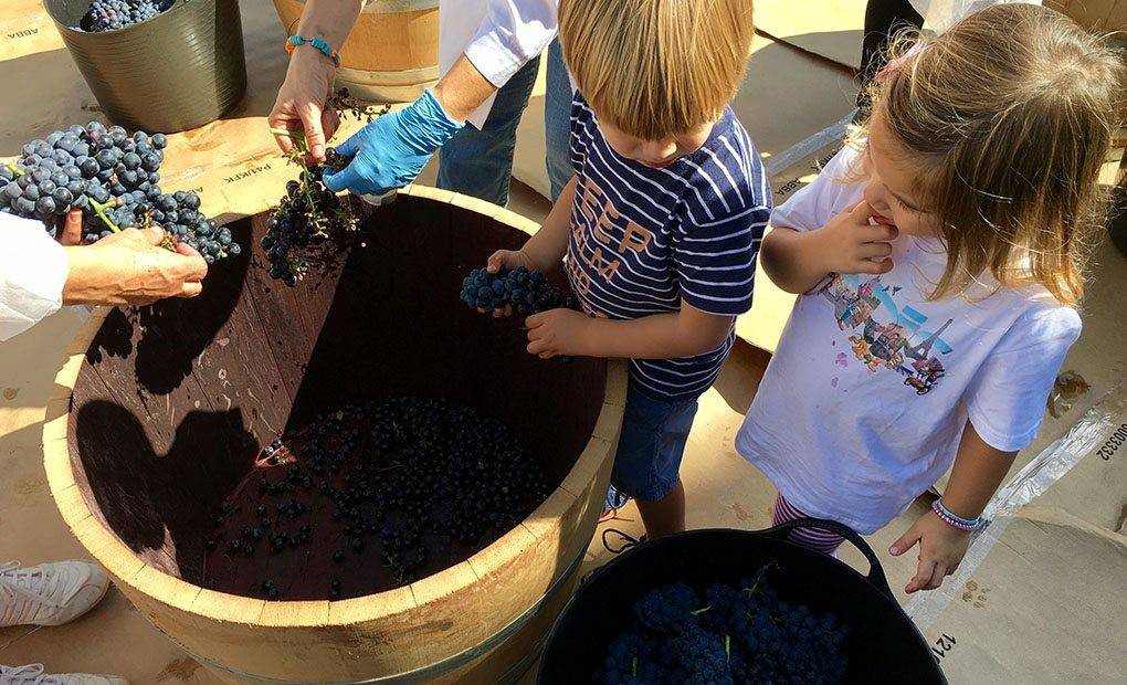 Pisar las uvas, un juego para que los niños descubran la tierra