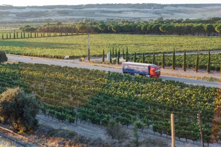 La N-122, rodeada siempre de viñedos, atraviesa el corazón de la Ribera del Duero.
