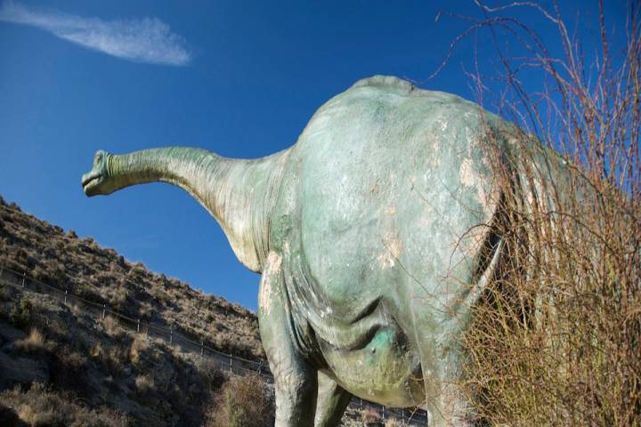 Representacion de un diplodocus en el Centro Paleontológico de Enciso.