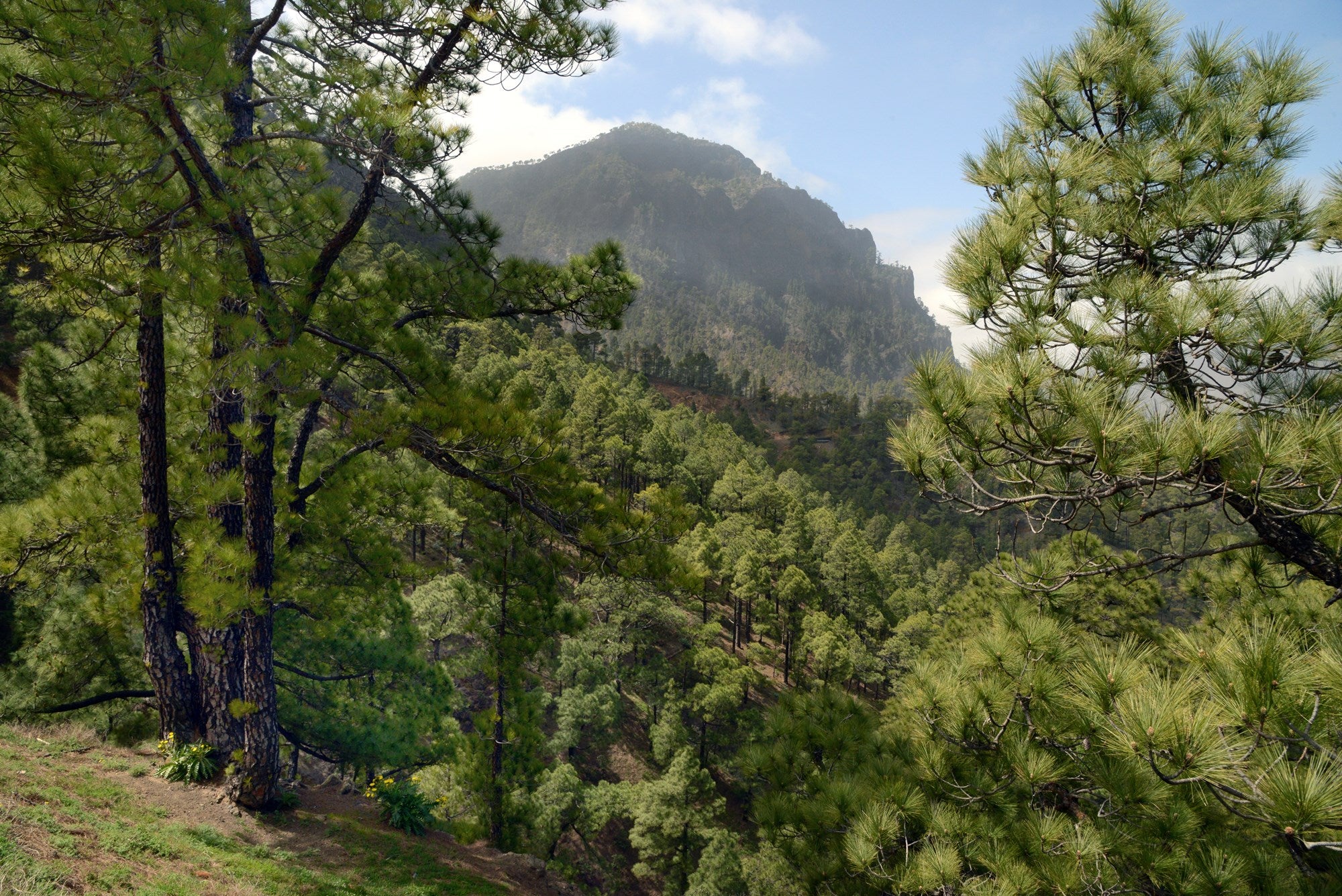 Destinos imprescindibles 2023 La Palma Parque Nacional Caldera de Taburiente