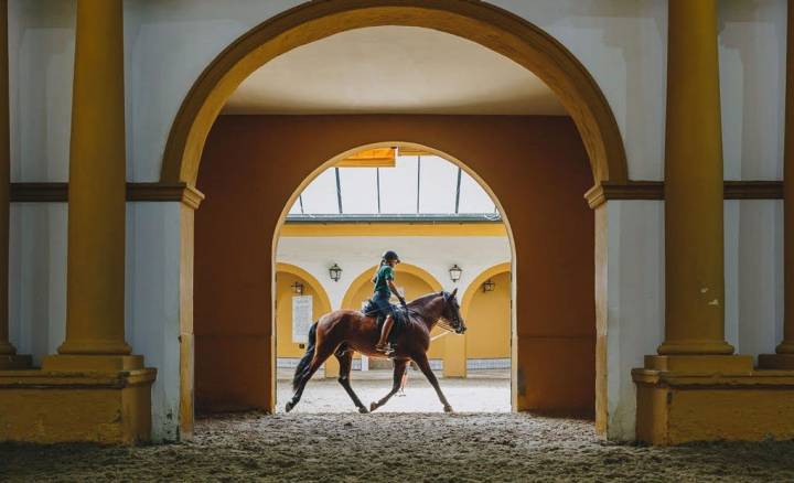 En Jerez el caballo siempre está presente.