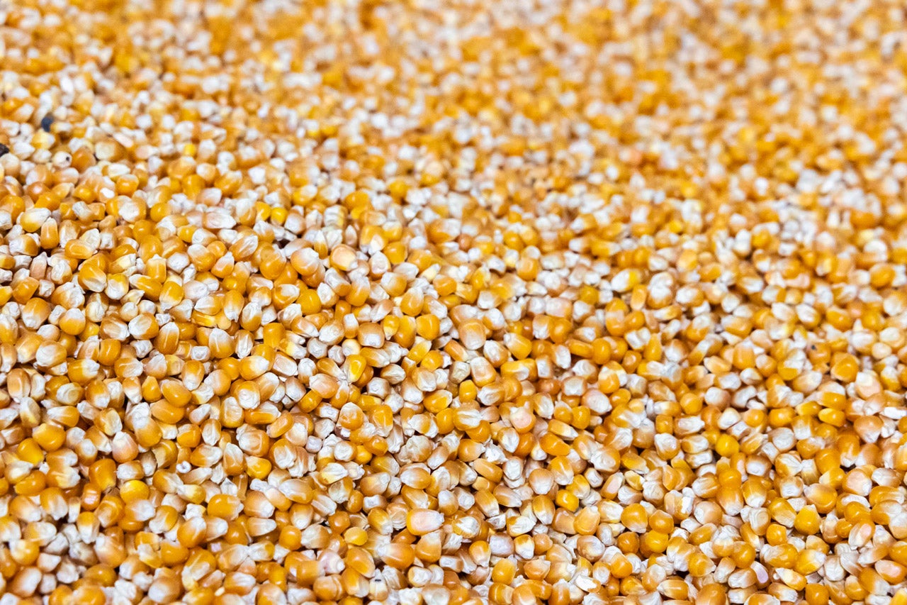 A Paulinho Horta mói também farinhas de diferentes variedades de milho e ainda arroz