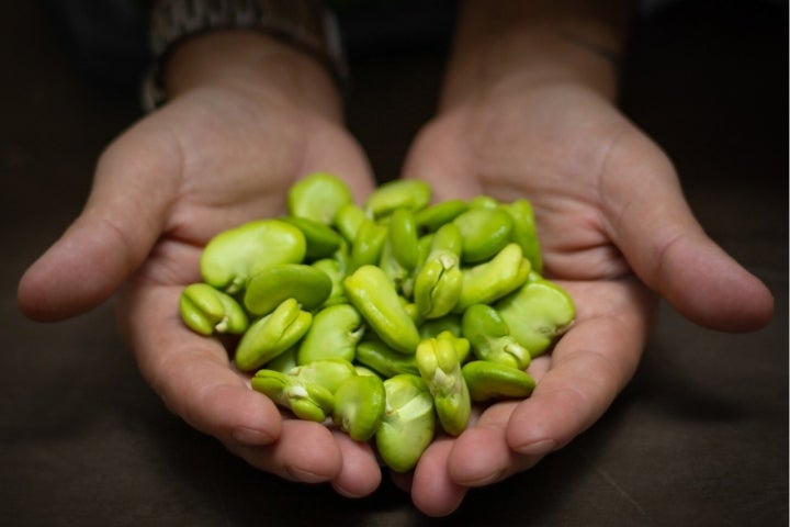 O tempo delas chegou e estes são seis bons sítios para comer favas