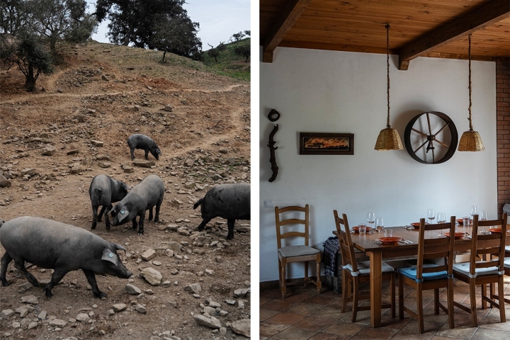 O que começou como um local de produção de enchidos na serra algarvia, transformou-se num lugar de almoços prolongados