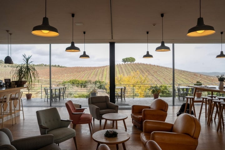 Na Quinta do Quetzal, os vinhos e as vinhas ouvem música