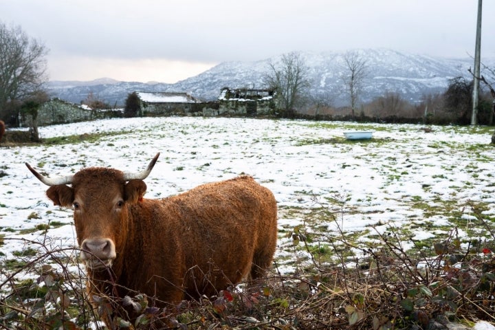 No Inverno, a época por excelência do fumeiro transmontano, Vreia de Jales enche-se de neve