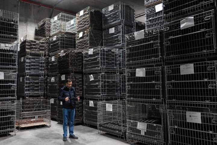 A quinta tem 100 hectares, 72 de vinha, com 22 castas, para “abranger mais mercado”, diz Jorge Ventura, enólogo residente