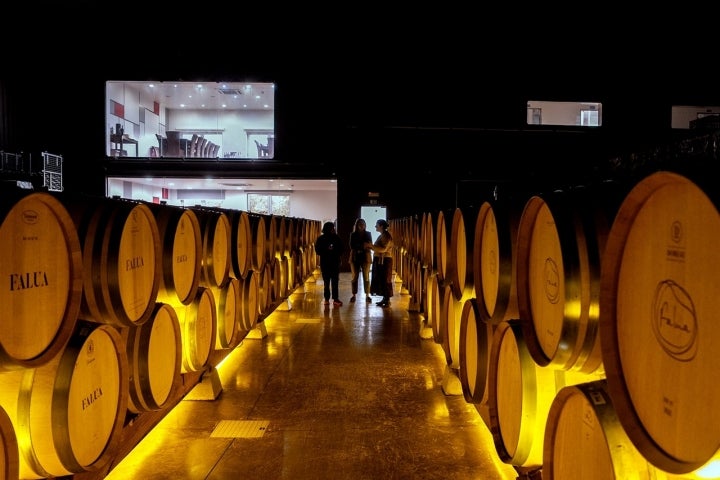 Além do passeio de jipe pelas vinhas, as visitas incluem uma passagem pela sala de barricas, pela adega e pelo laboratório