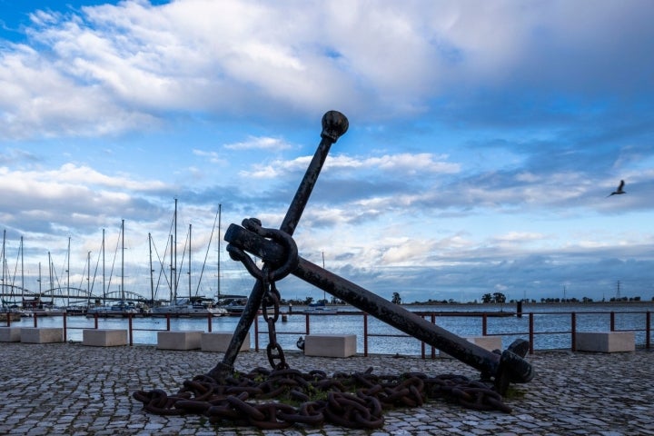 À beira do Tejo, lembra-se a cultura avieira