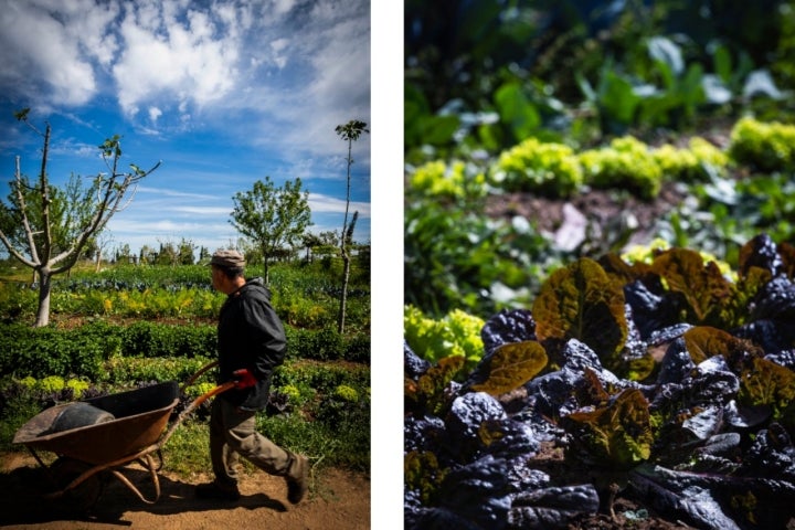 Os produtos frescos usados no Pão & Pizza são de produção própria