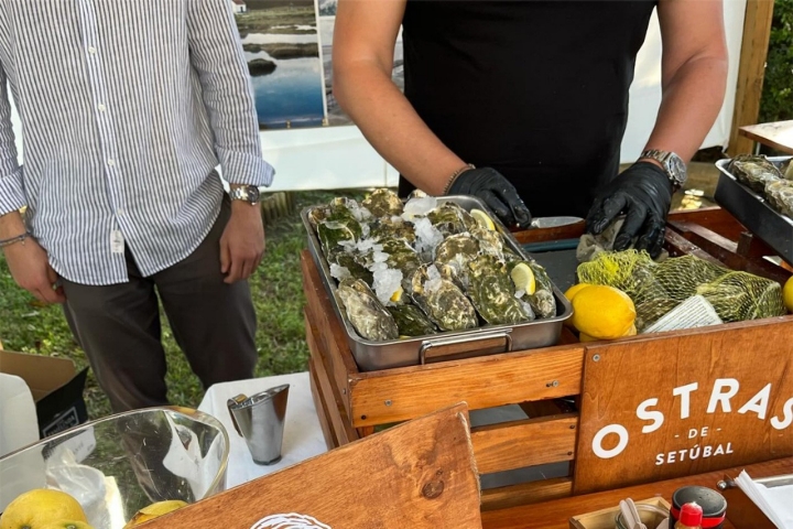 Na Banca das Ostras, no Mercado do Livramento, em Setúbal, pode comprar e degustar as ostras ao momento