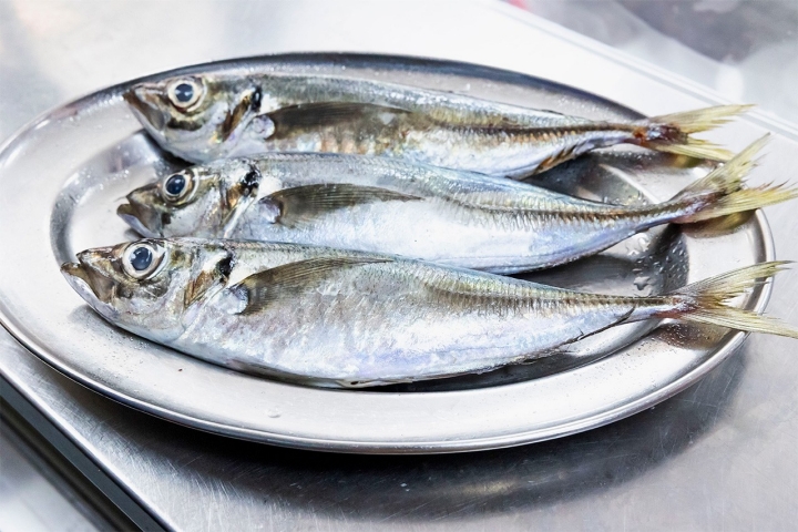 Peixes e mariscos para a grelha — e outros petiscos algarvios — fazem as delícias de muitos n’Ú Venâncio 