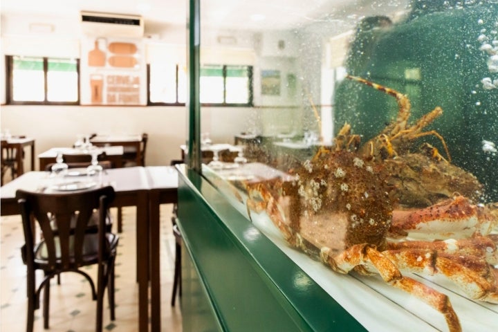 Mariscos com uma frescura rara no interior alentejano