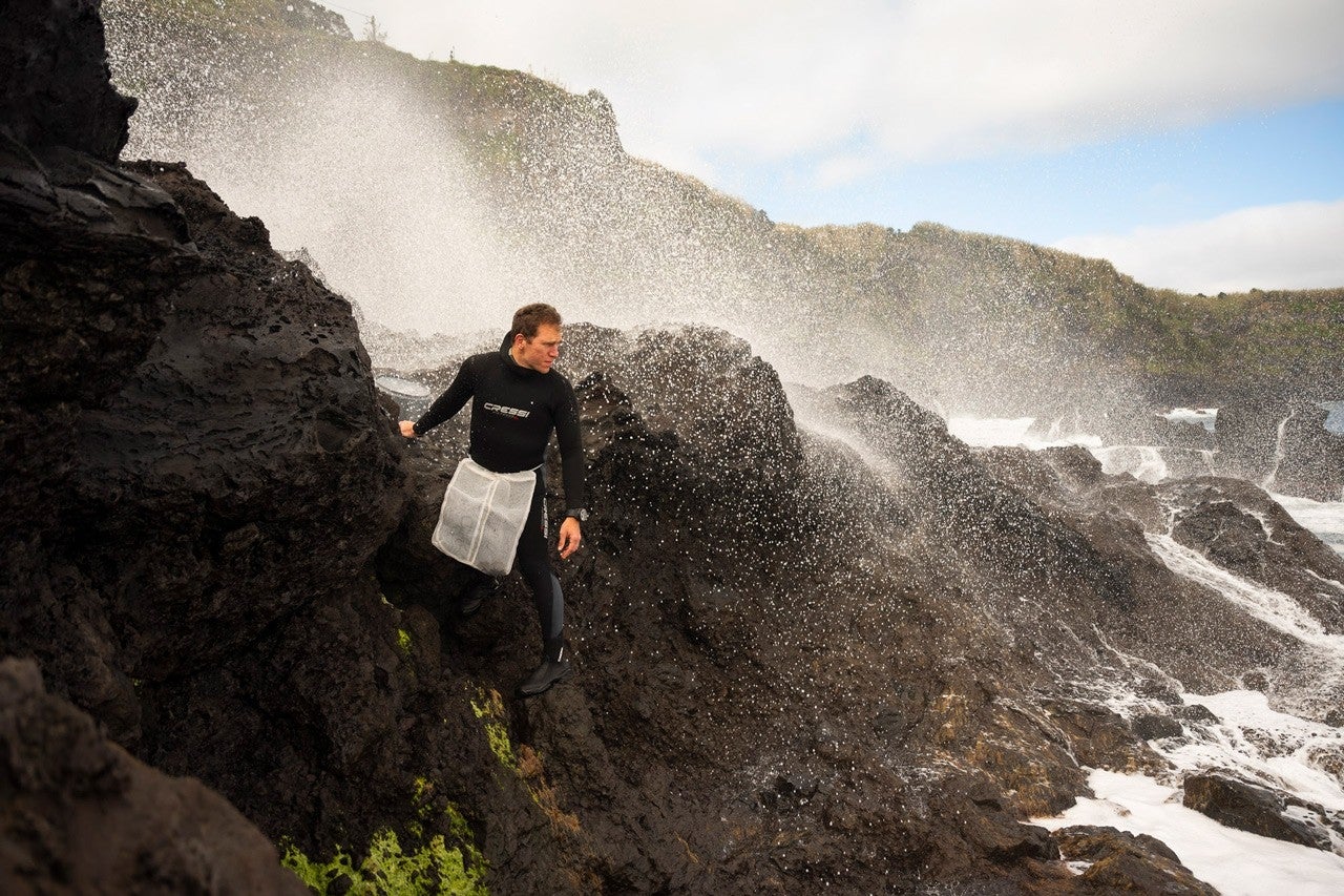 Coisa Verde: Comer Algas nos Açores
