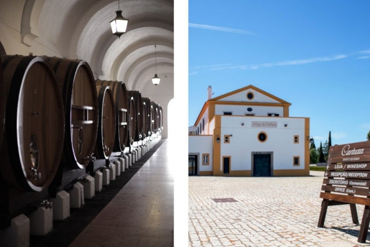 Nos tonéis da Quinta de Valbom guardam-se, a cada ano, castas que poderão tornar-se o próximo Pêra Manca (foto Cartuxa) 