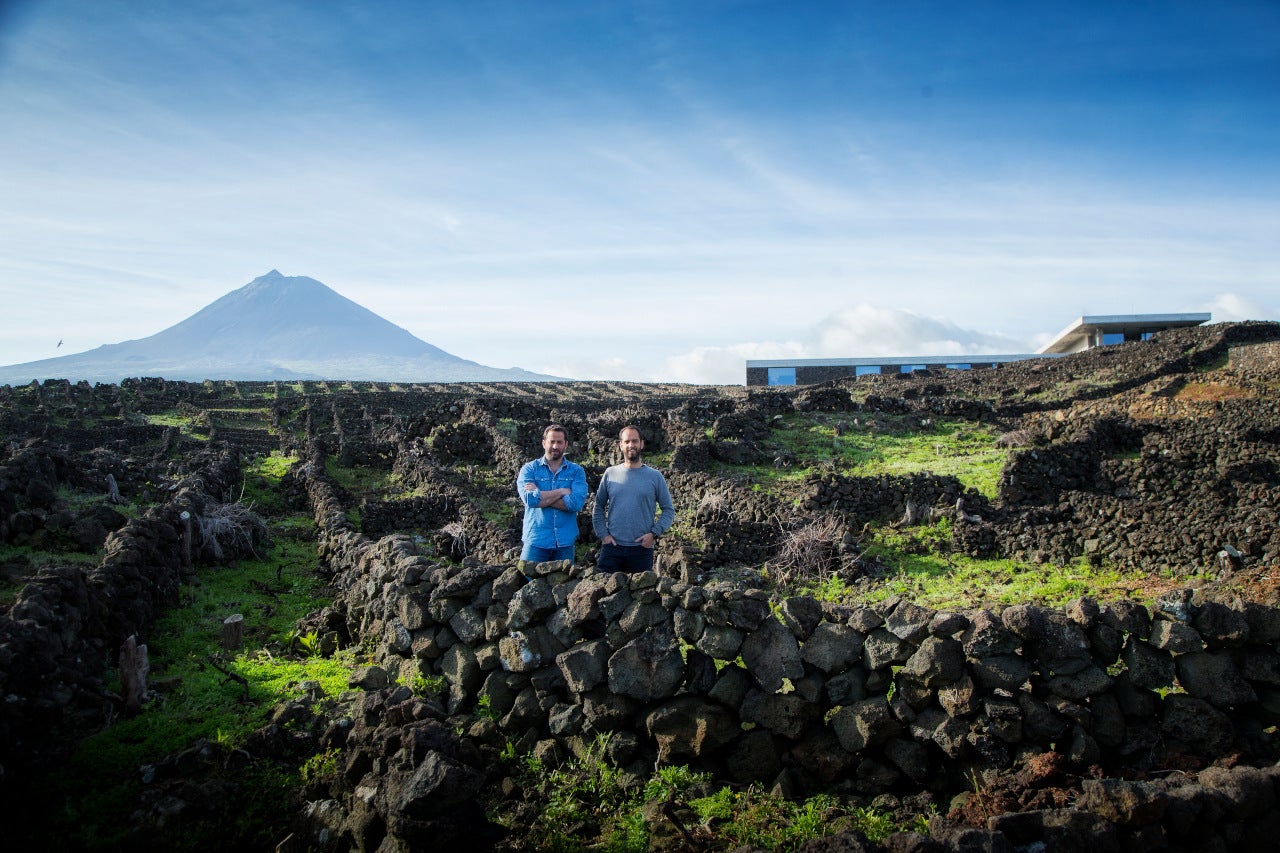 Azores Wine Company: a adega que ressuscitou as vinhas do Pico