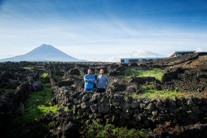 Azores Wine Company e os novos vinhos antigos do Pico