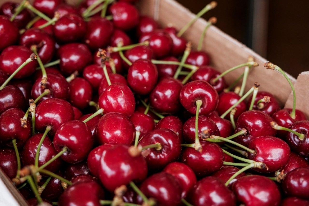 O que é que a cereja tem? Três festivais para saborear a rainha da Primavera 