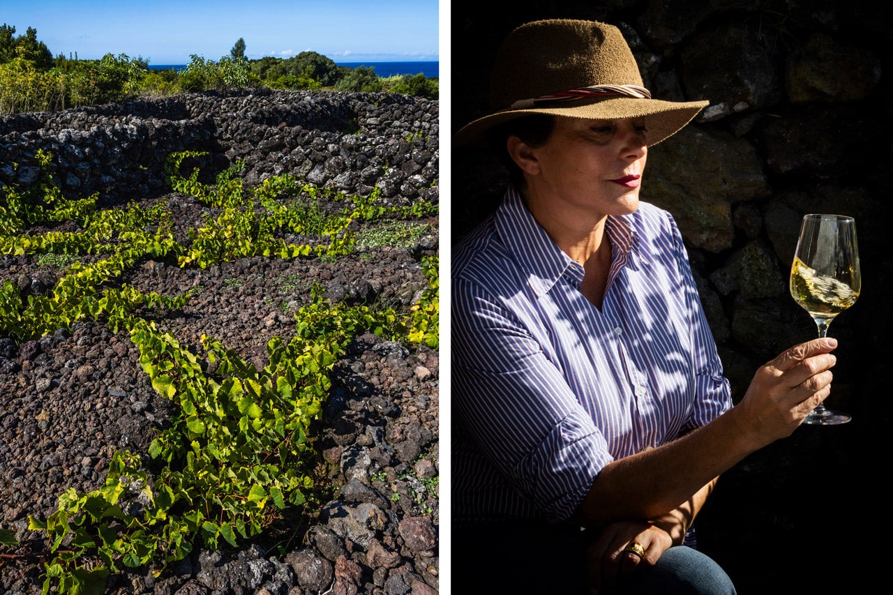Nas curraletas de pedra, as vinhas crescem protegidas dos ventos marítimos e do mau tempo. 