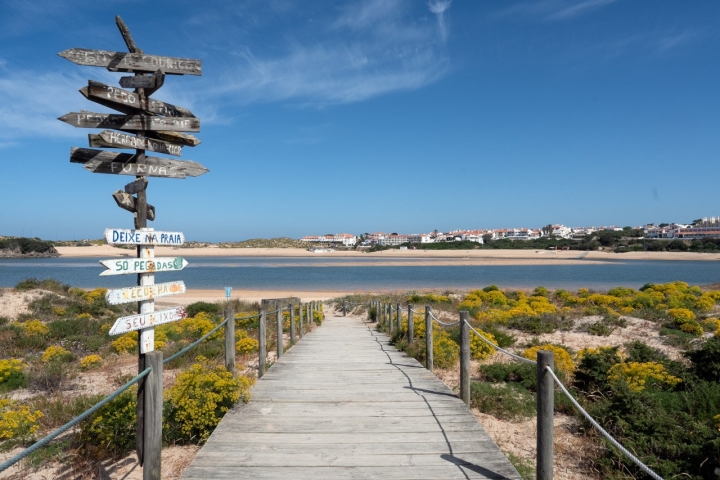 A zona fluvial da praia em Milfontes é oficialmente para cães (Foto: Ana Brígida) 