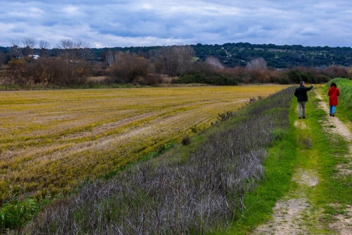 A herdade do Portocarro conta com 60 hectares de arrozal