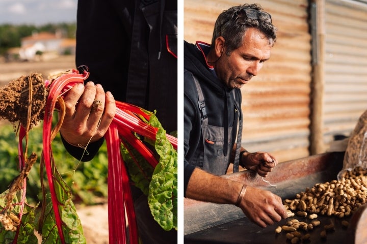 João Costa é um dos responsáveis do Amendoim do Rogil e produtor de algumas das melhores folhas verdes da região