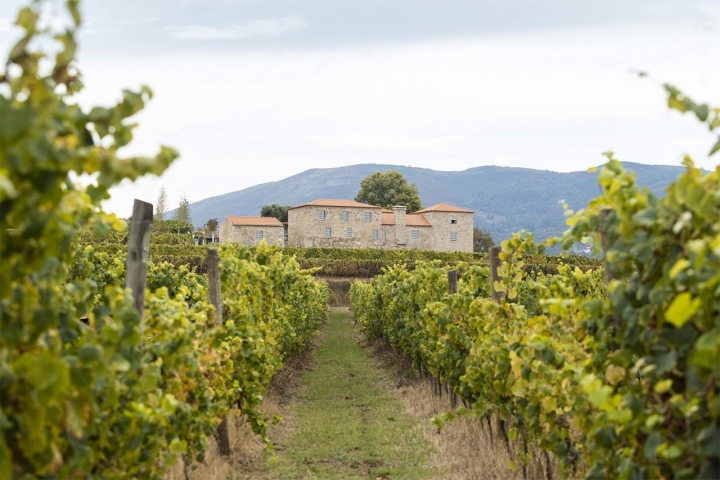 A Quinta da Torre de Anselmo Mendes, situada em Monção, território de excelência para a casta Alvarinho, abriu ao enoturismo em 2025. Foto: DR