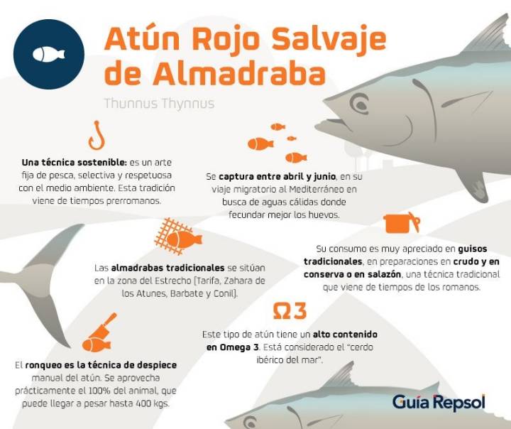 Datos curiosos del atún rojo salvaje de Almadraba.