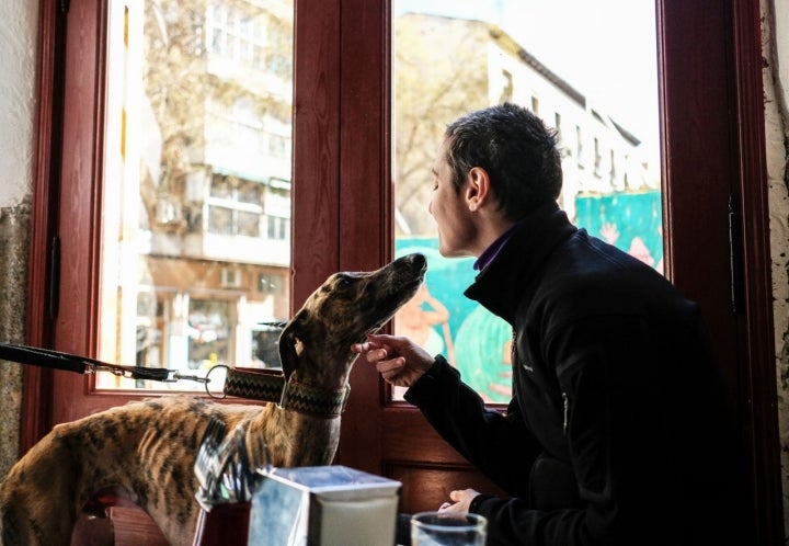 Fotomontaje de perros en el establecimiento de Lavapiés.