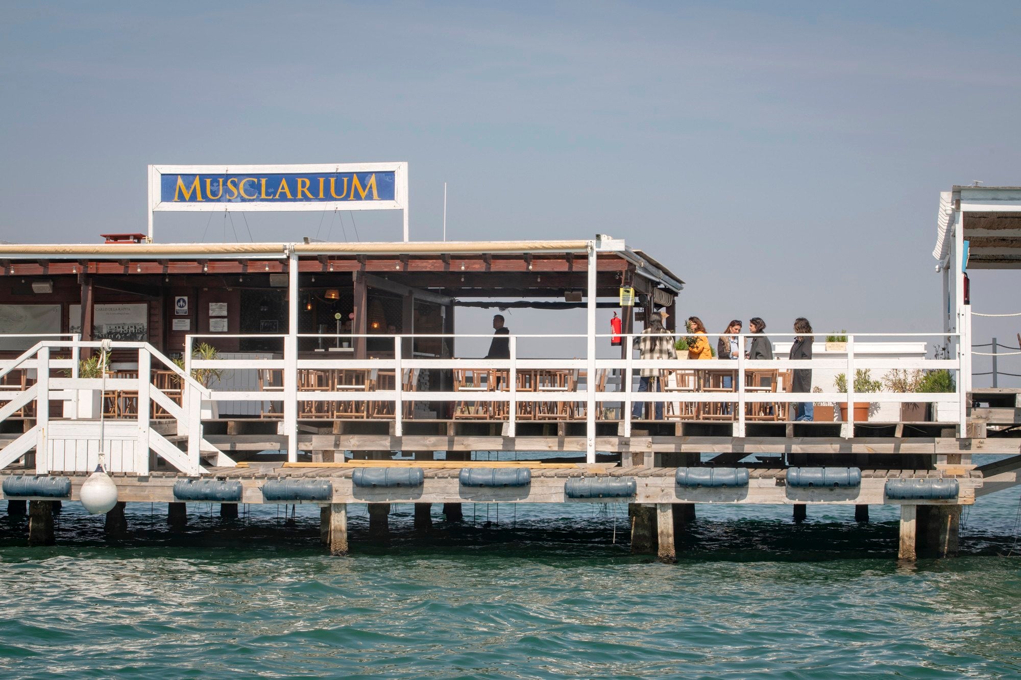 Degustación de ostras y mejillones en una batea