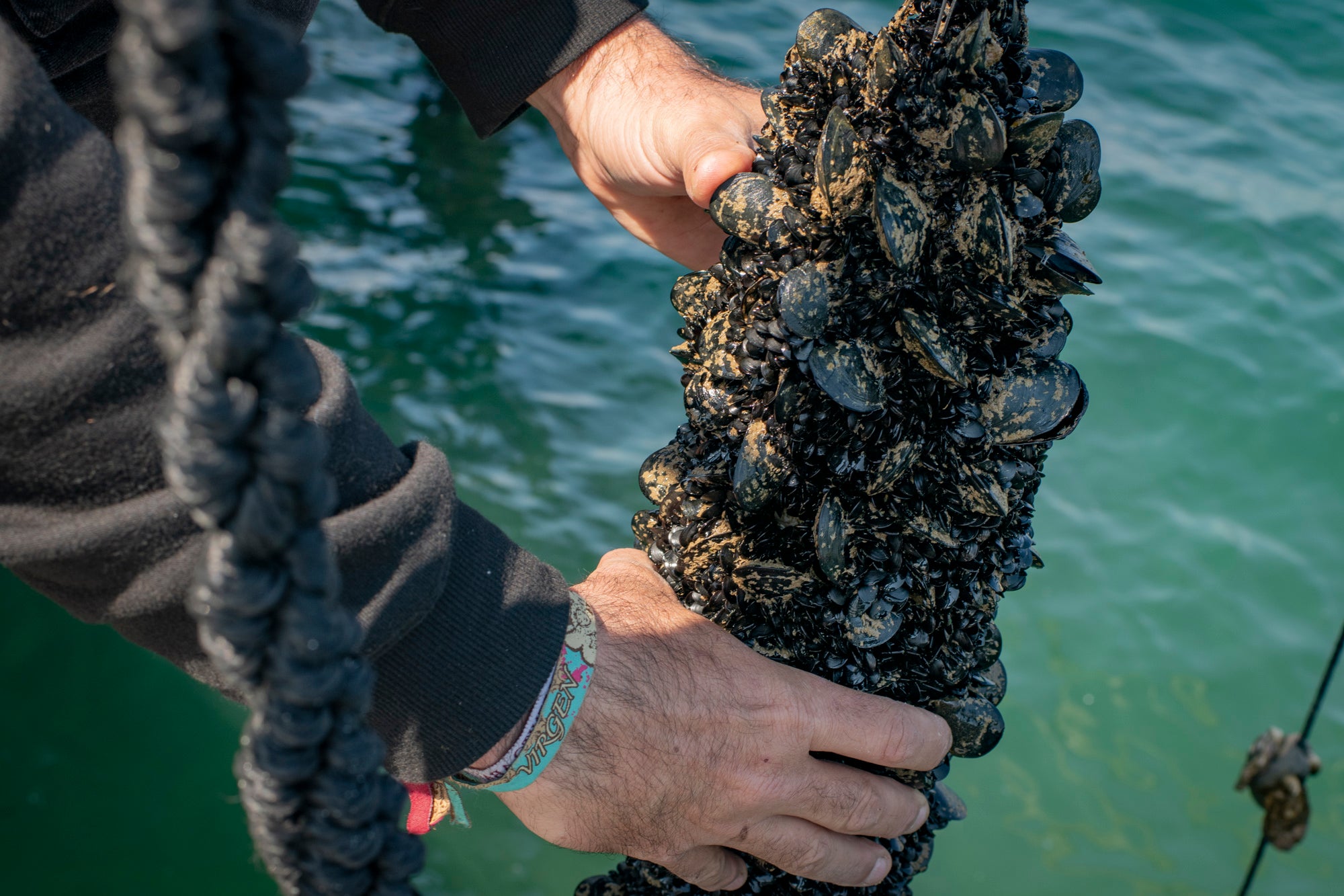 Degustación de ostras y mejillones en una batea
