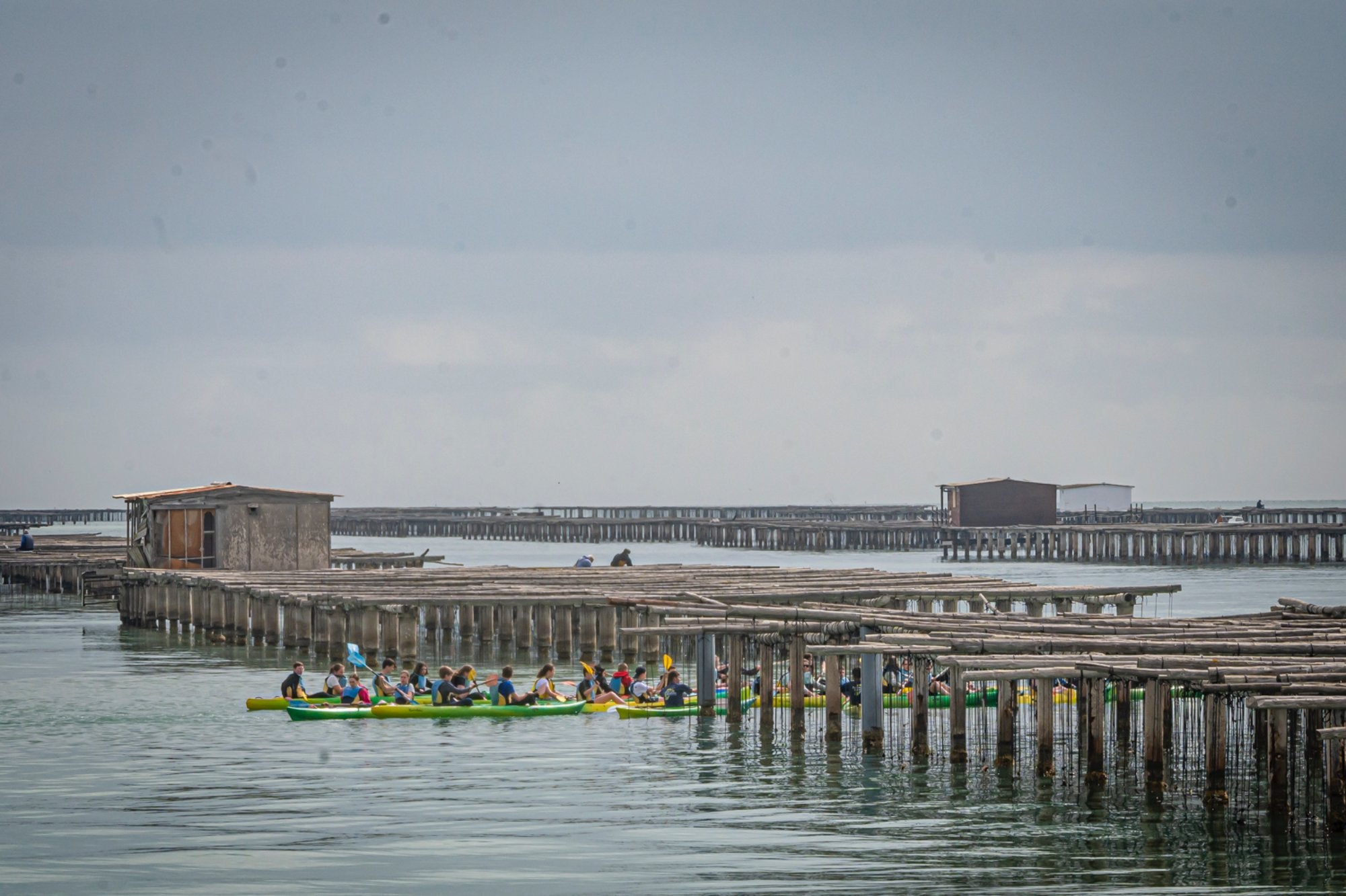 Bateas en el Bahía de los Alfaques (Delta del Ebro)