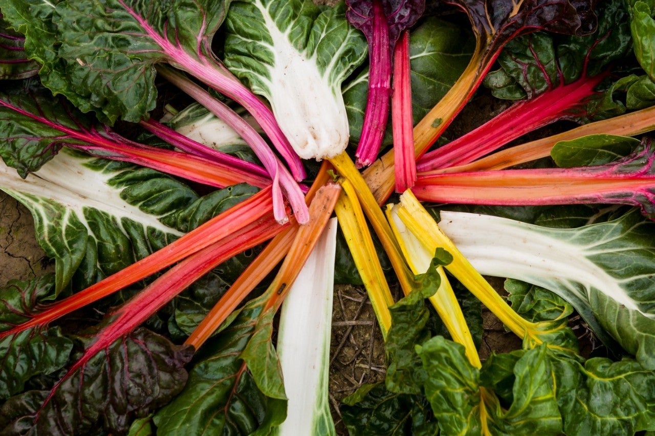 Un arcoiris en el campo y en el plato.