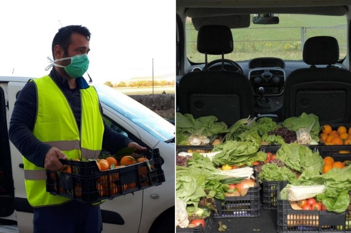 Entrega de frutas y verduras de 'Camp Mallorquí'