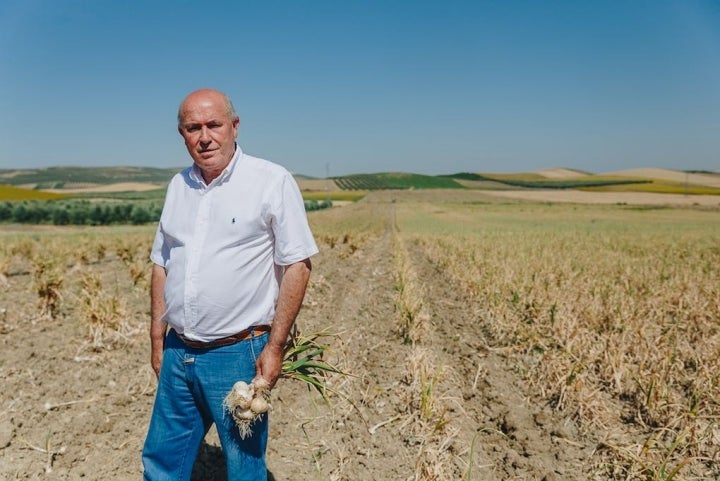 El gerente, Manuel Vaquero, sobre el terreno.