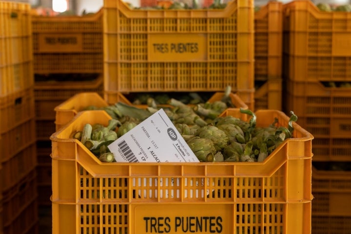 Alcachofa Vega Baja Segura caja con alcachofas