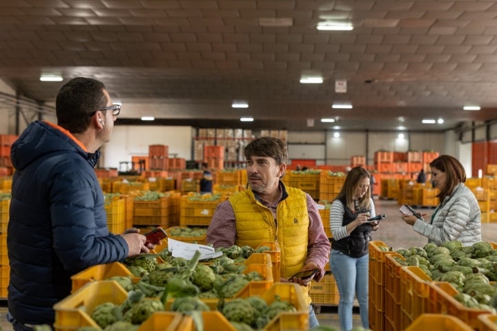 Alcachofa Vega Baja Segura almacén