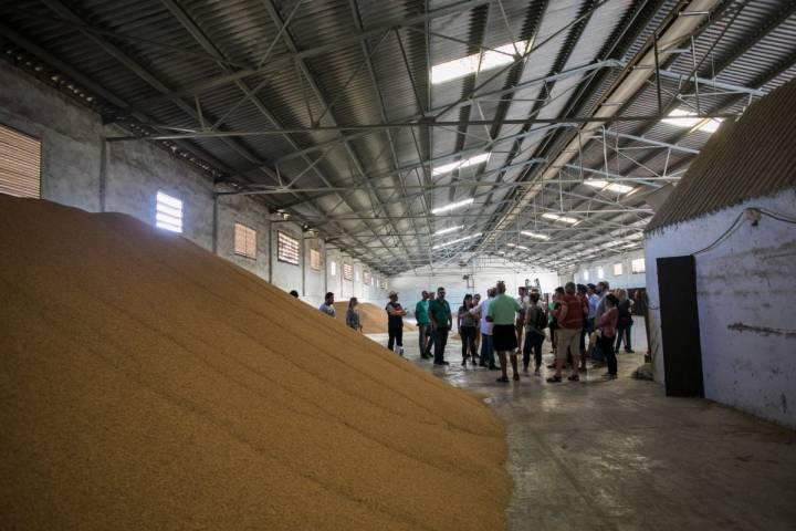 Los graneros de arroz, durante la visita a la finca.