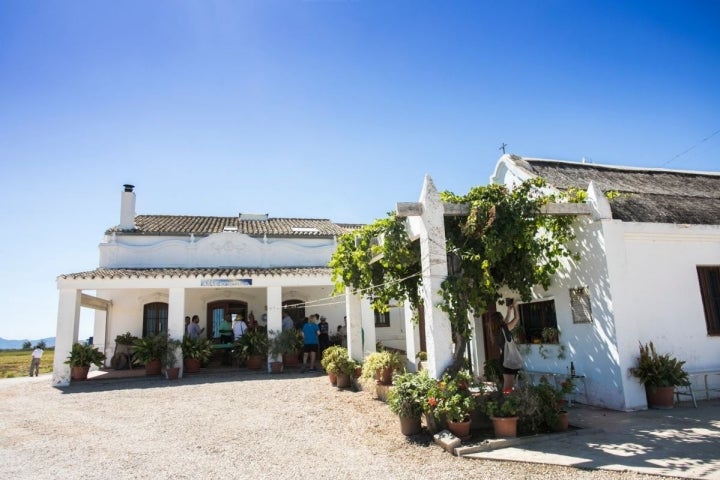 El agroturismo reúne a viajeros interesados en profundizar en la cultura gastronómica de los destinos.