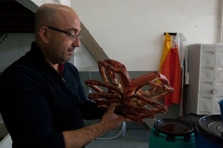 Una centolla, rescatada de los fondos rocosos nasas.