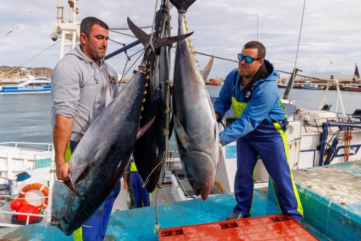  JC Mackintosh, pesca sostenible del atún rojo