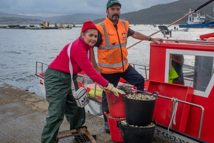 Berberechos de Noia pareja de mariscadores