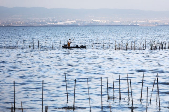 Pescador Albufera