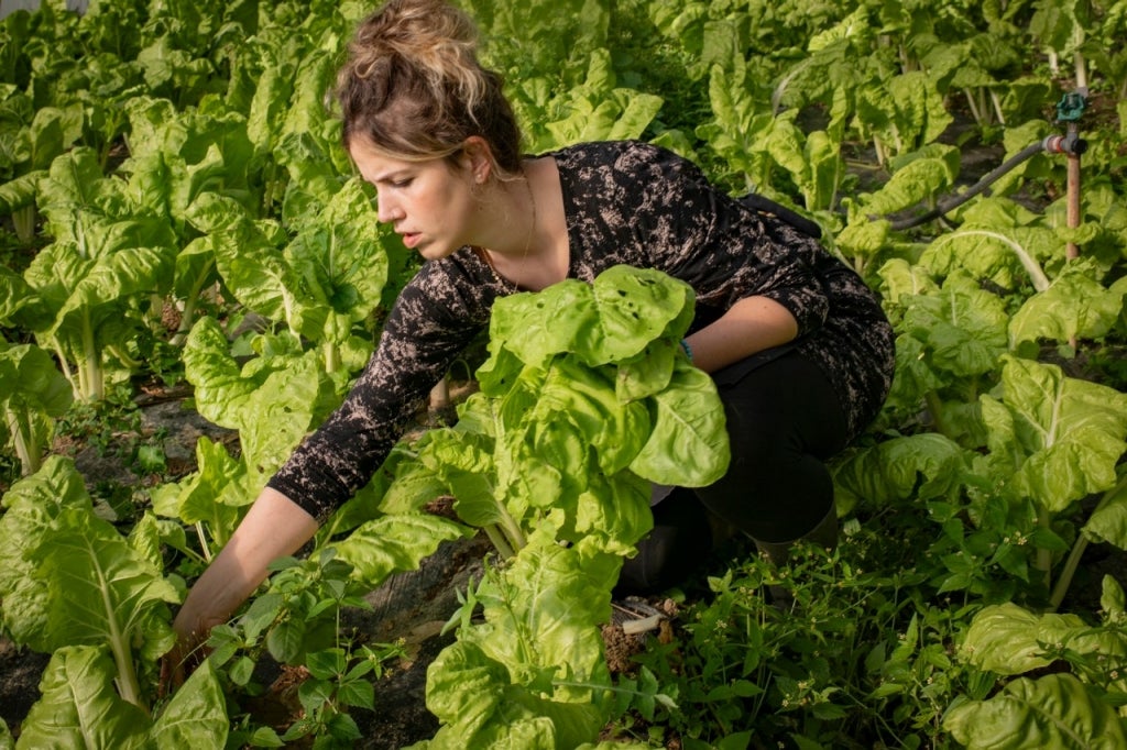 La horticultora enamorada de sus verduras La horticultora enamorada de sus verduras