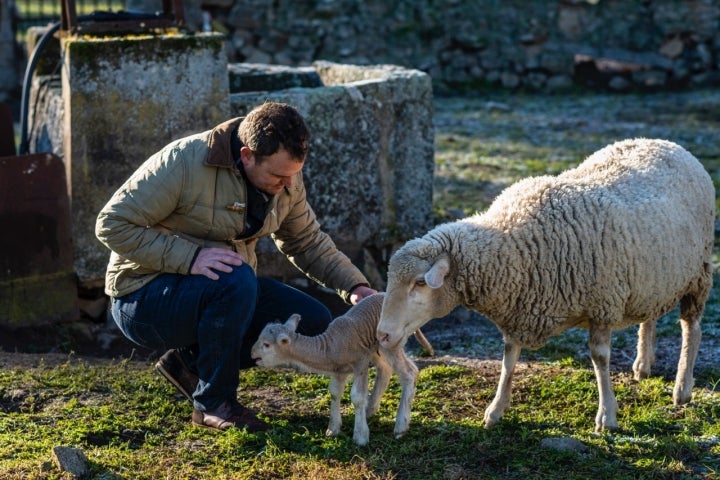 Rafael Muñoz junto a una cría de cordero y la madre