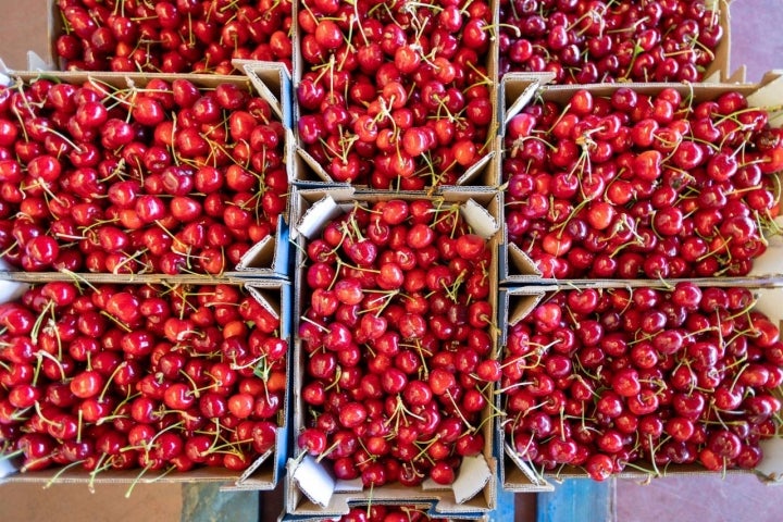 Cubos Cerezas Jaén